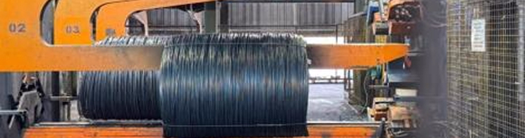 Standard Coil (IA)