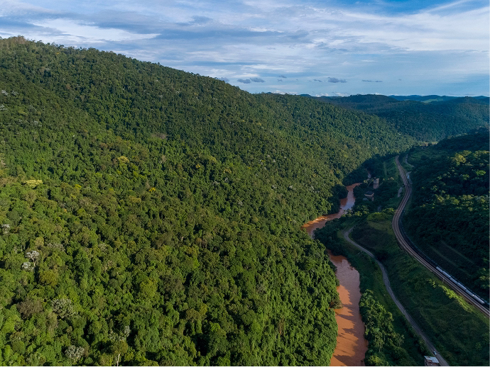 Rio cercado por vegetação
